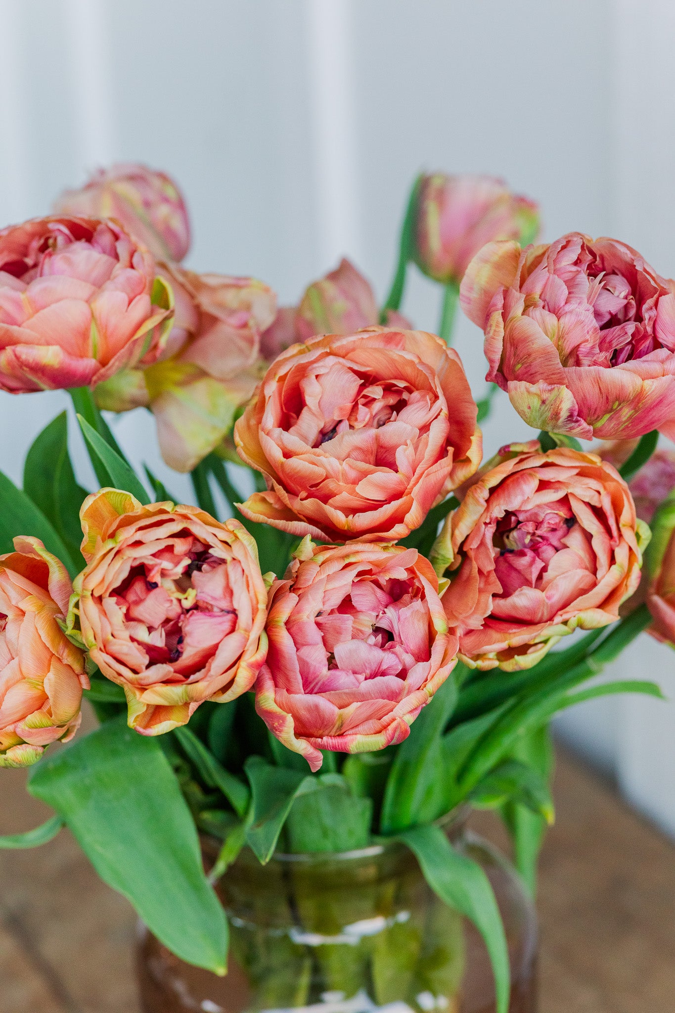 Tulip Copper Image