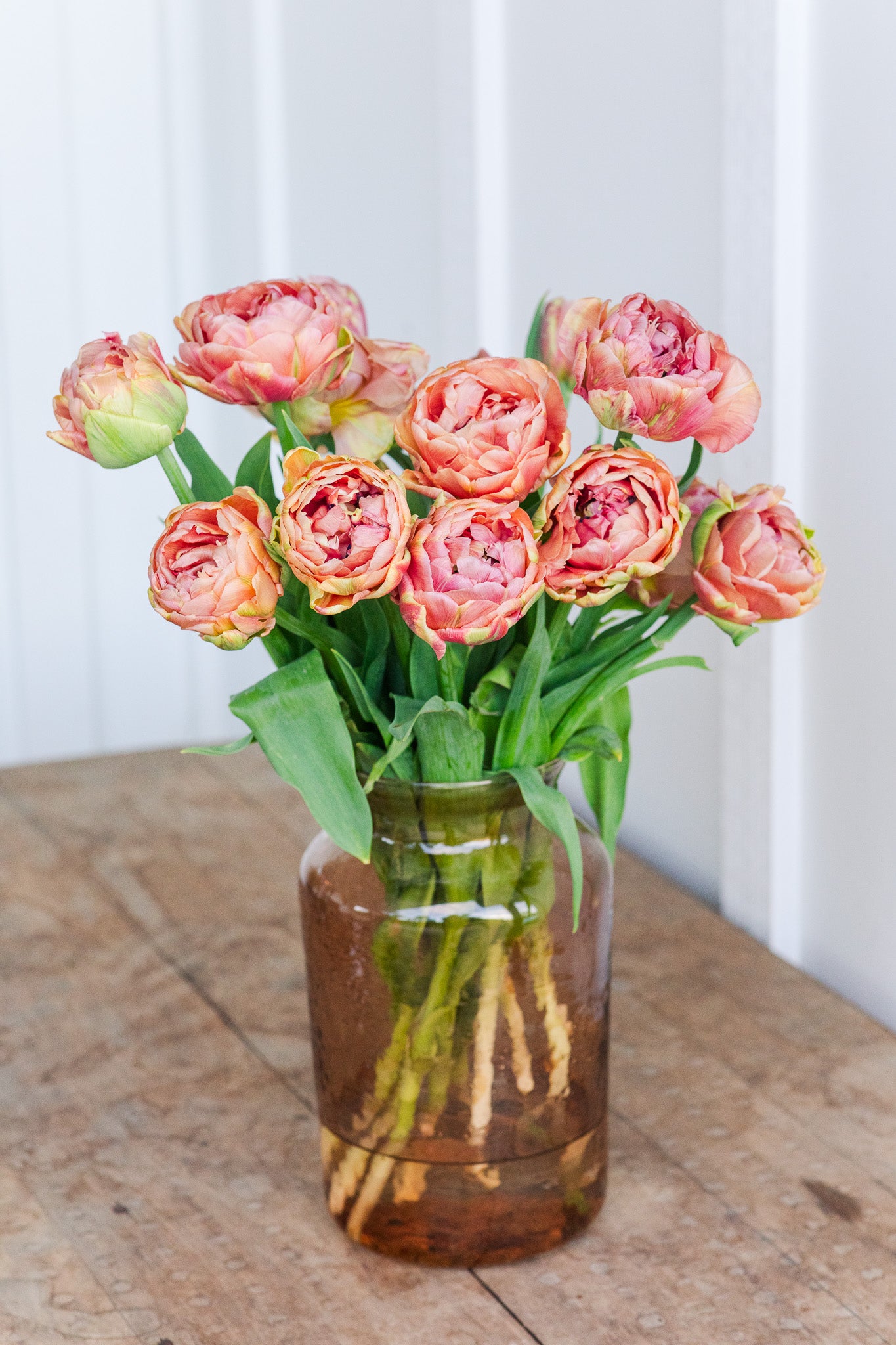 Tulip Copper Image