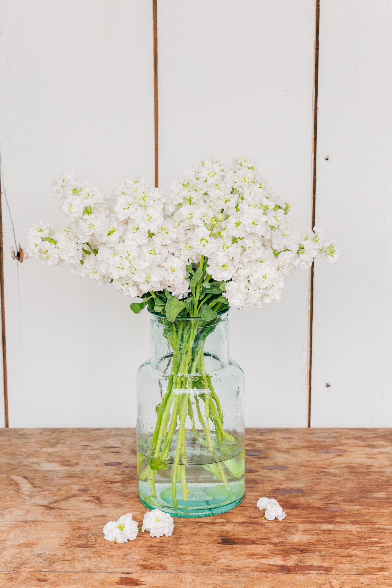 Stock Arrow White