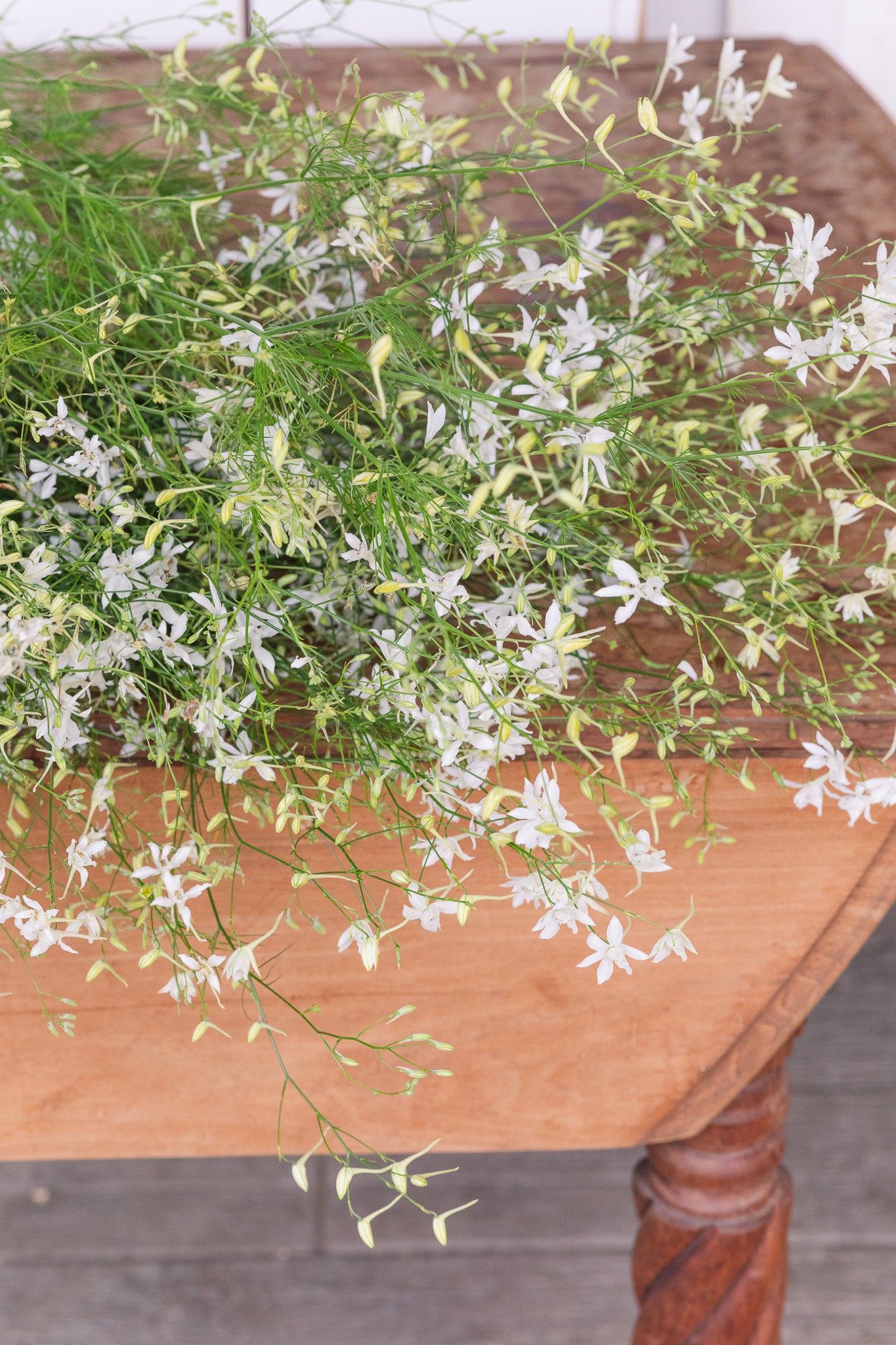 Larkspur Cloud White