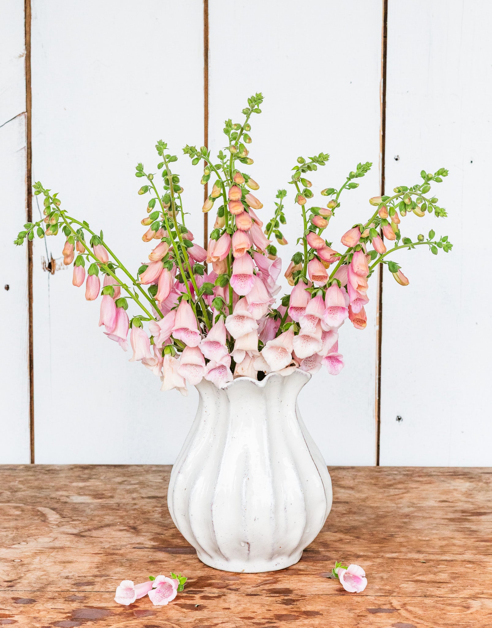 Foxglove Pink Gin