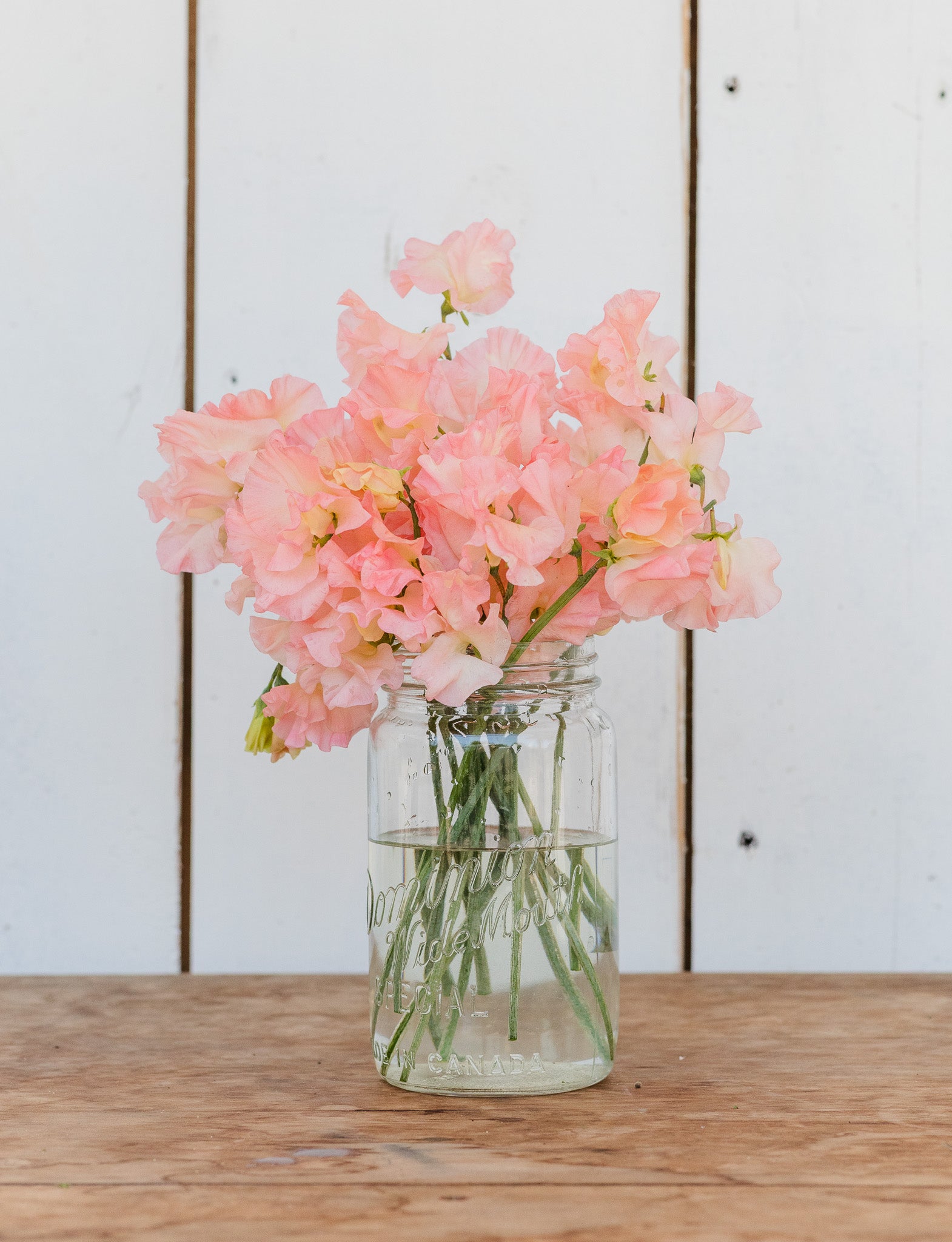 Sweet Pea Heaven Scent