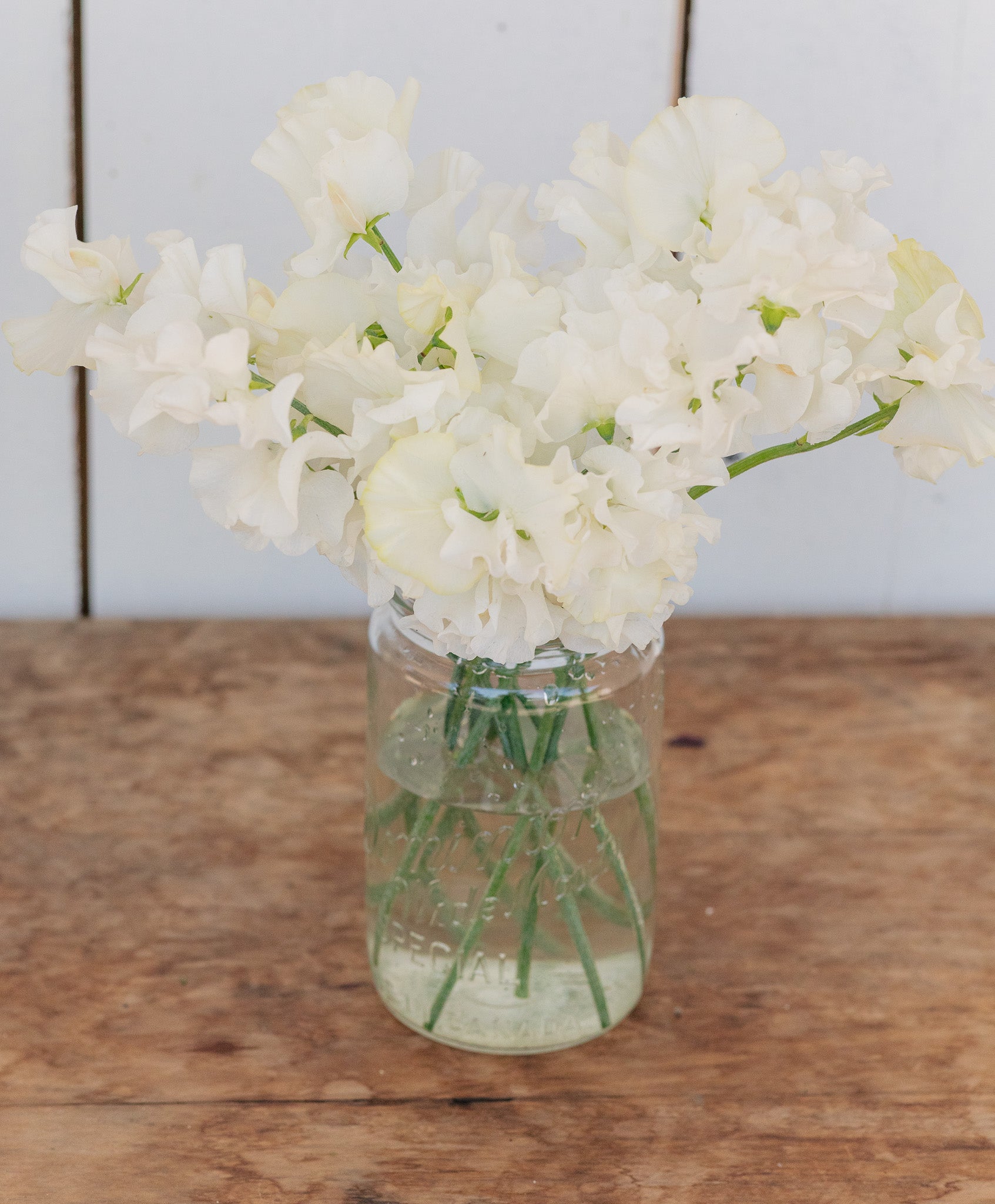 Sweet Pea Memorial Flight