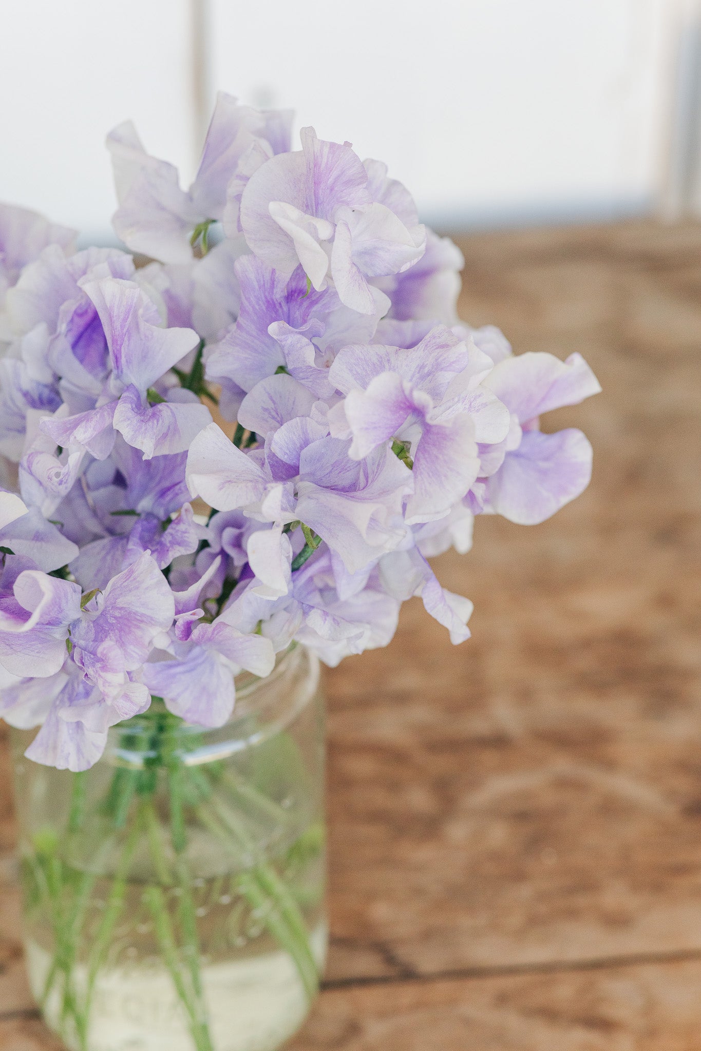 Sweet Pea Lavender Flake