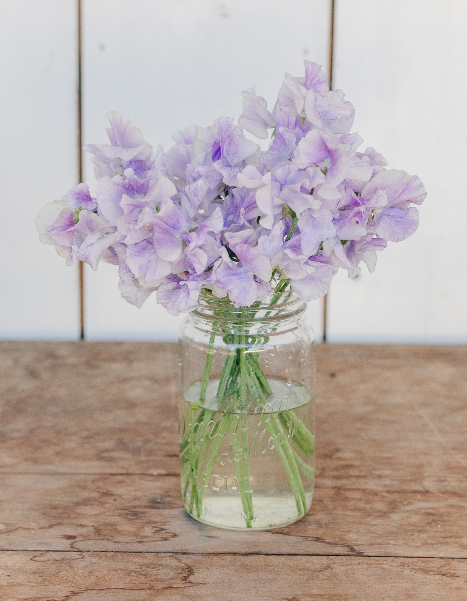 Sweet Pea Lavender Flake
