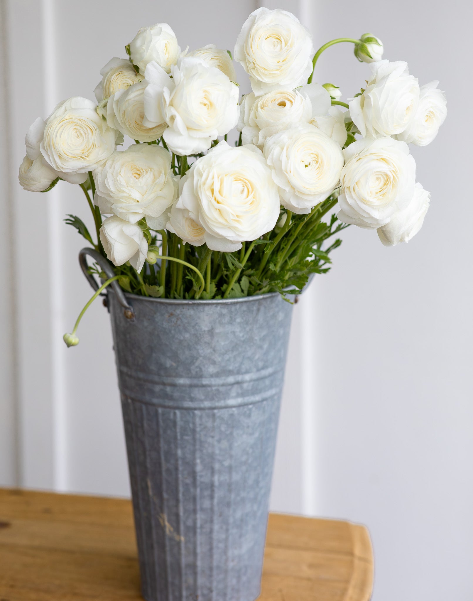 Ranunculus Clone Ice Crystal