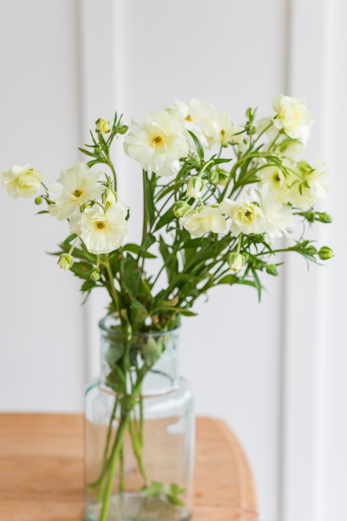 Ranunculus Butterfly™ Graces®