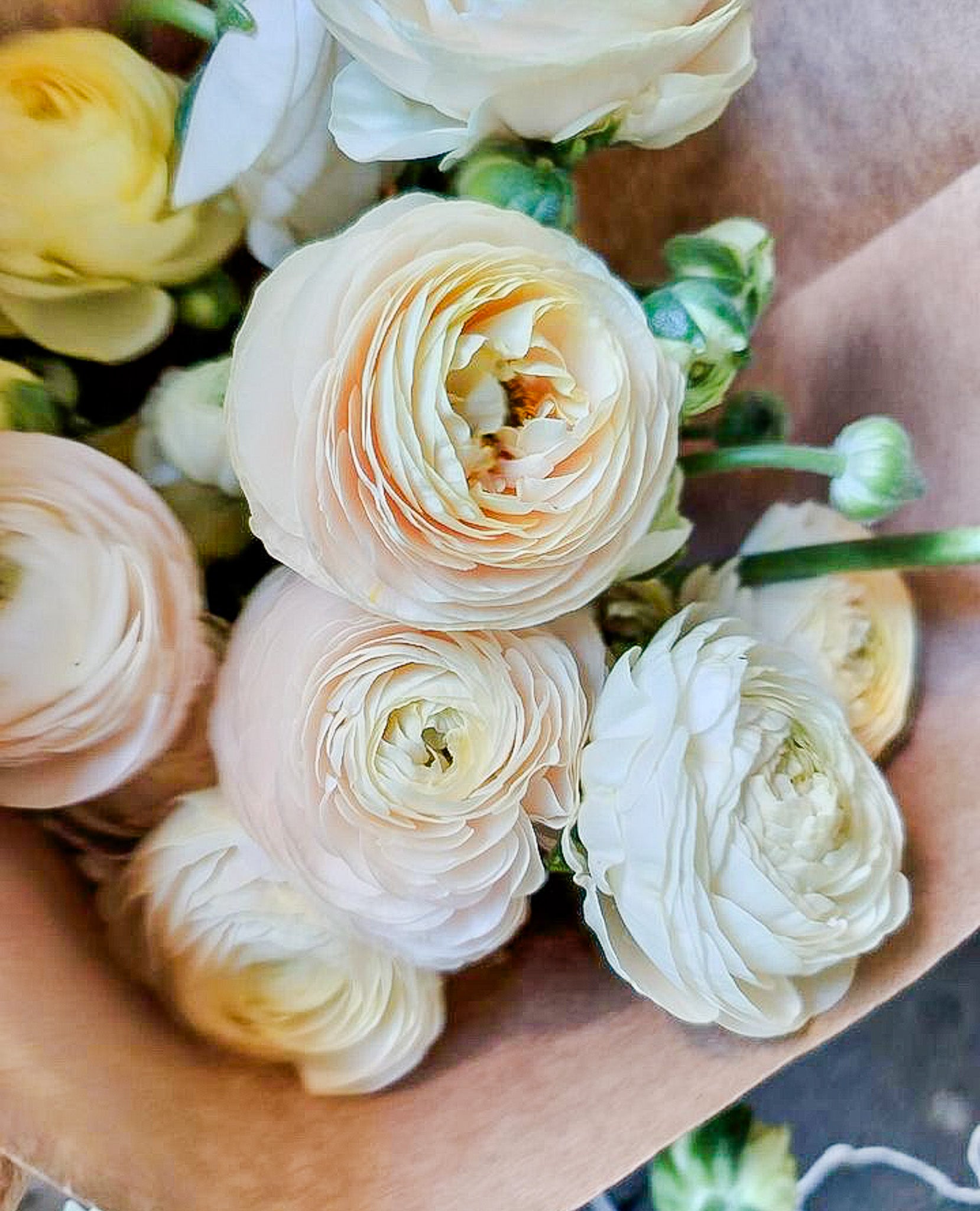 Ranunculus Half Clone Wedding Pastel