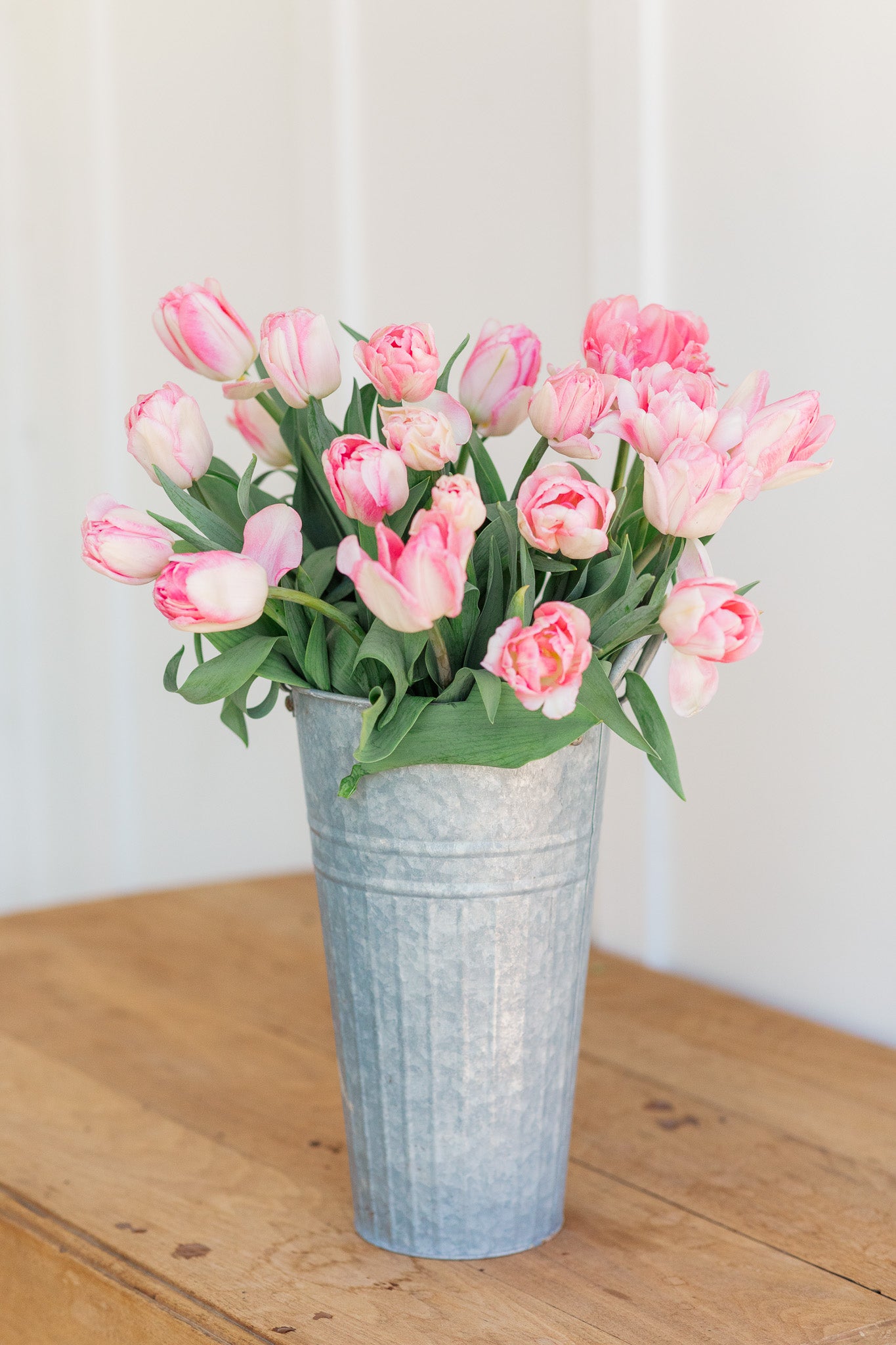 Tulip Dreamer