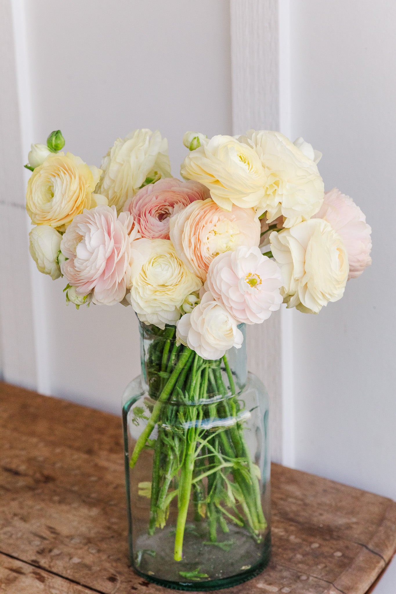 Ranunculus Half Clone Wedding Pastel