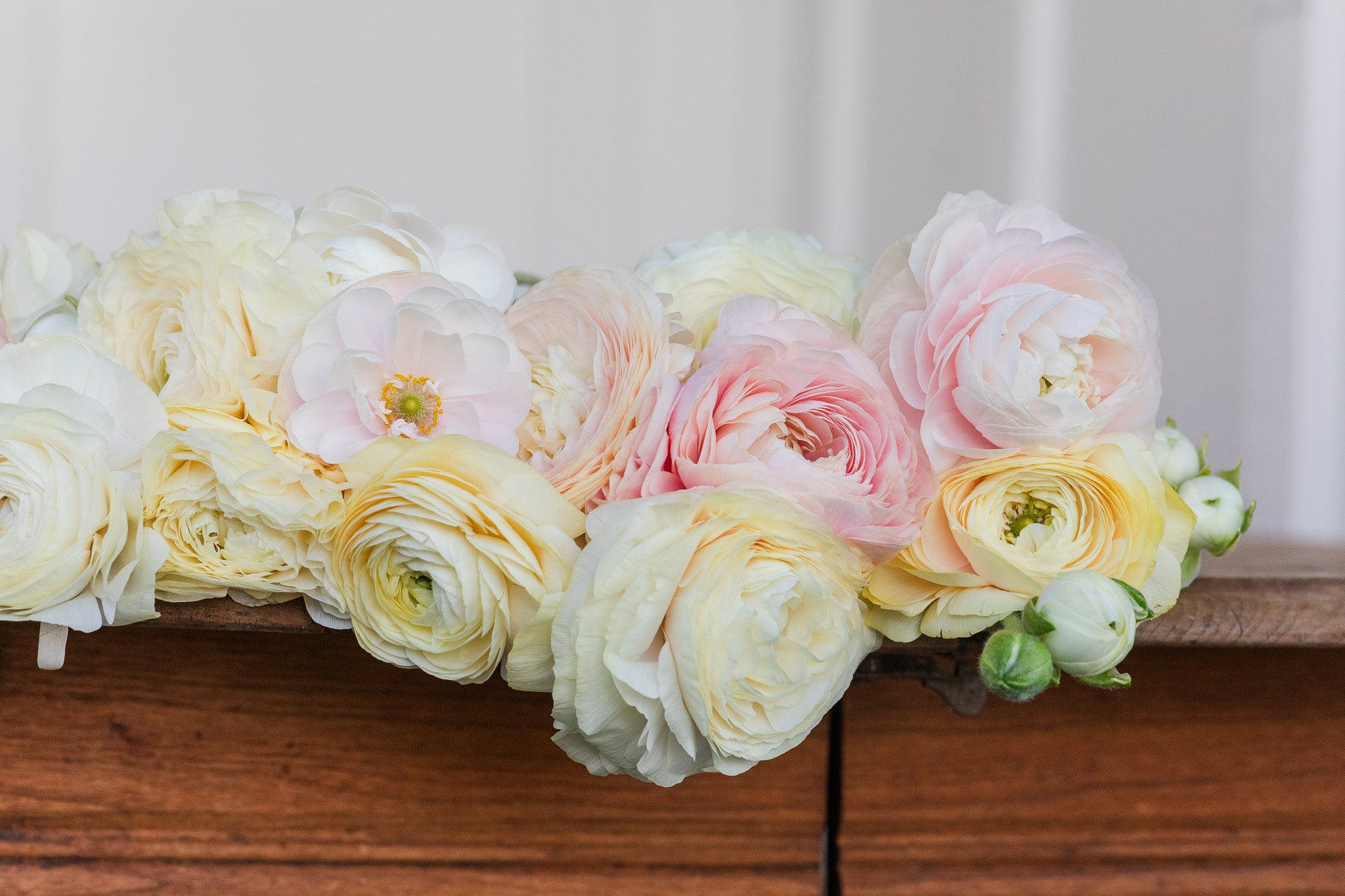 Ranunculus Half Clone Wedding Pastel