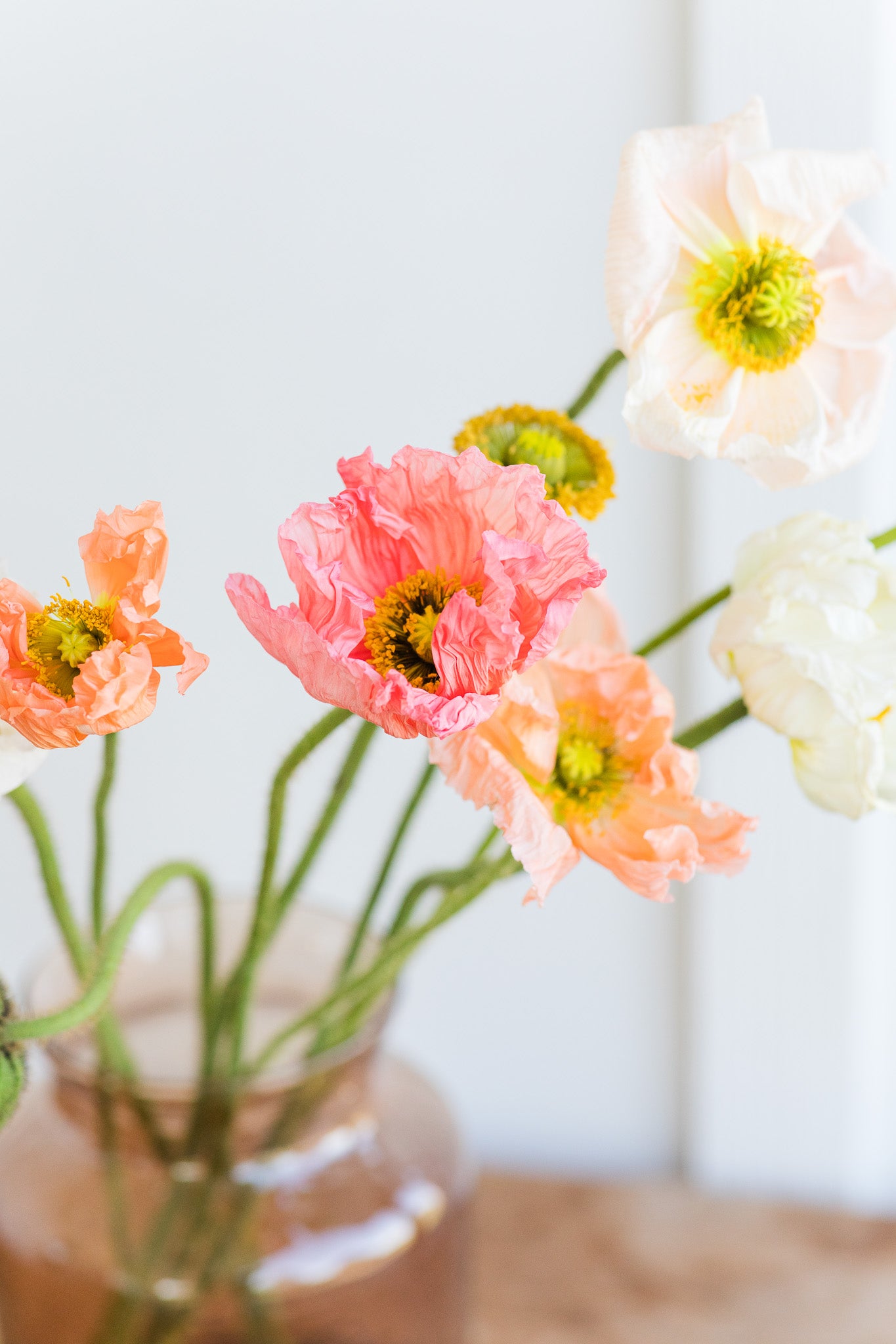 Poppy Icelandic Pastel Mix