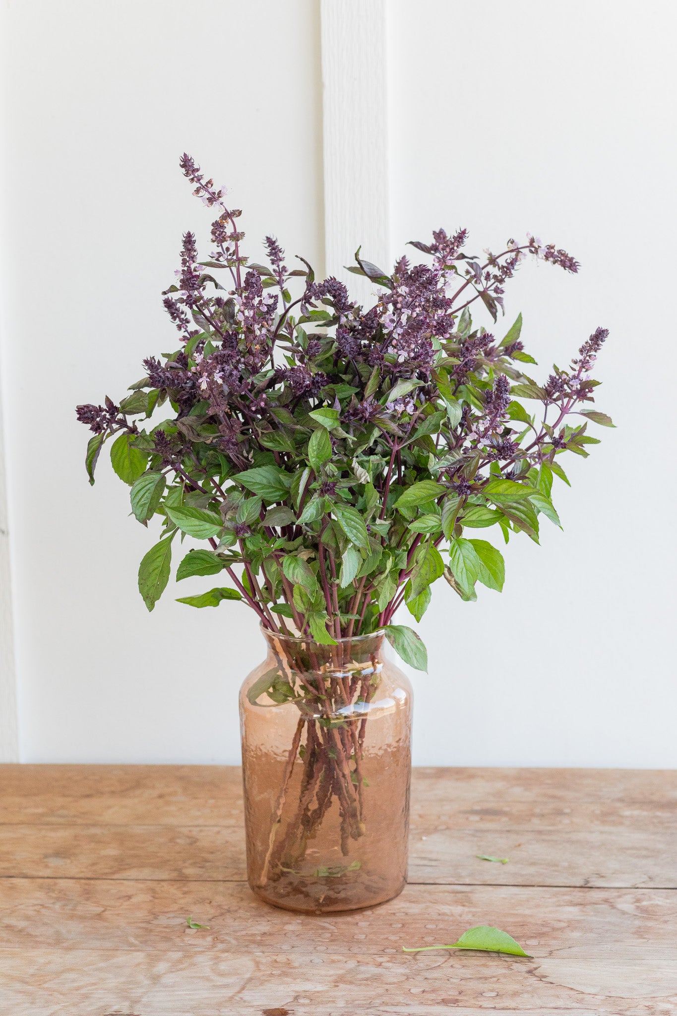 Basil Aromatto