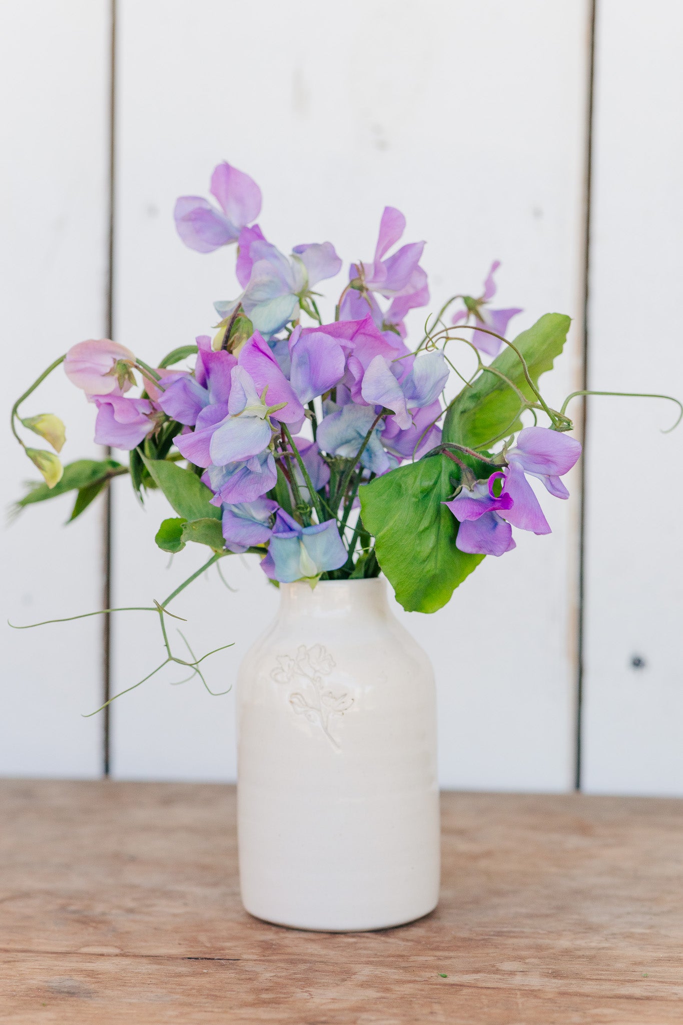 Sweet Pea Turquoise Lagoon