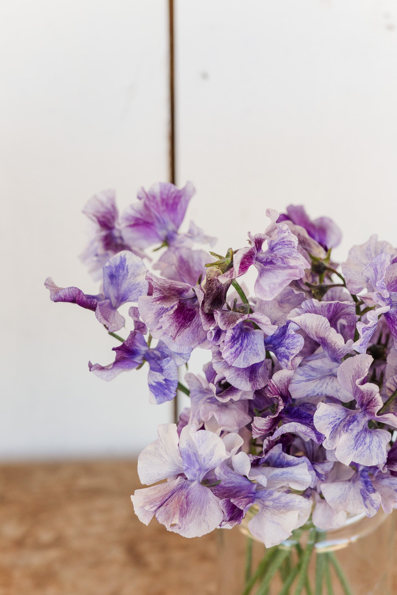 Sweet Pea Earl Grey