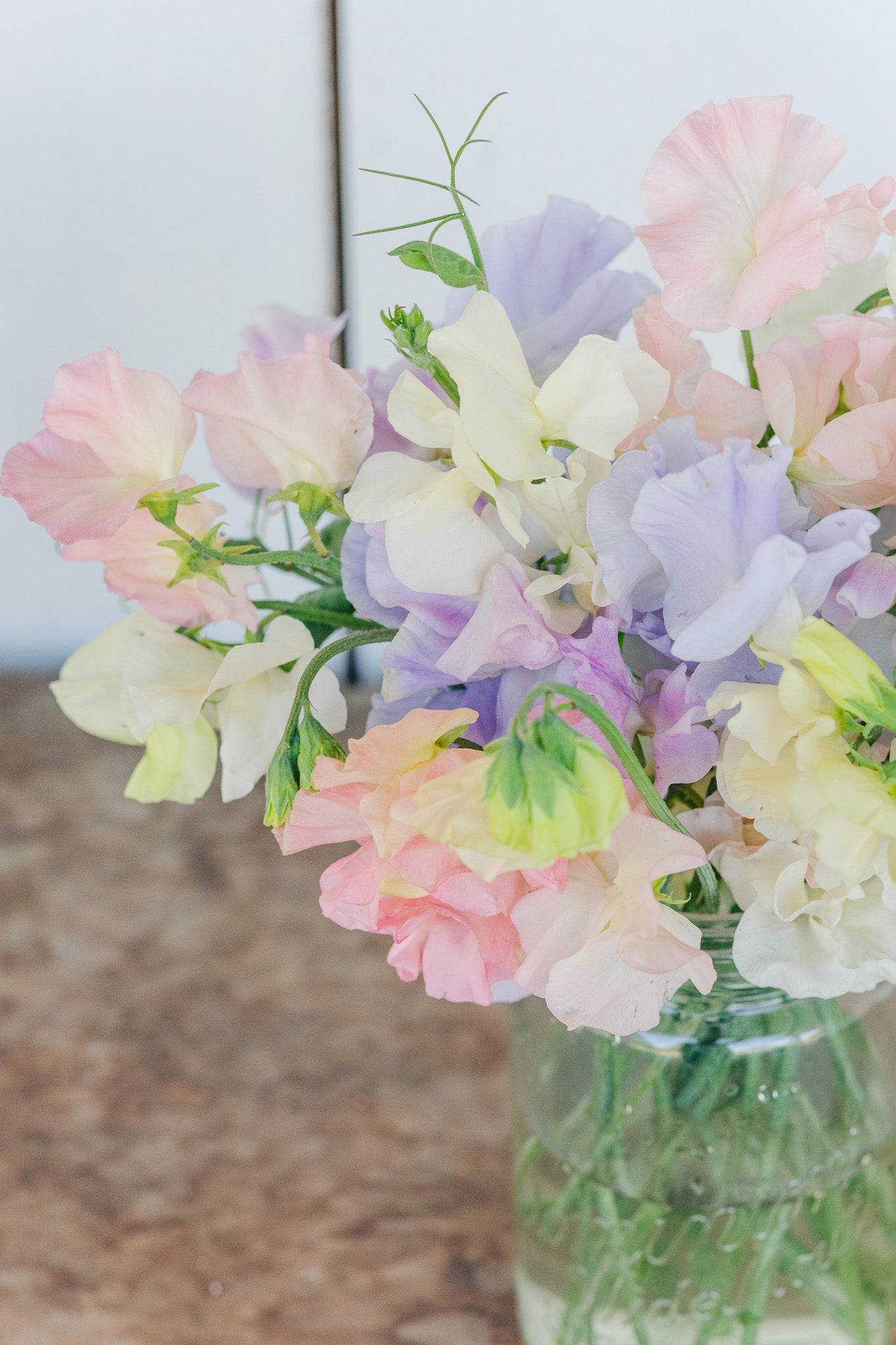 Sweet Pea Classic Mix