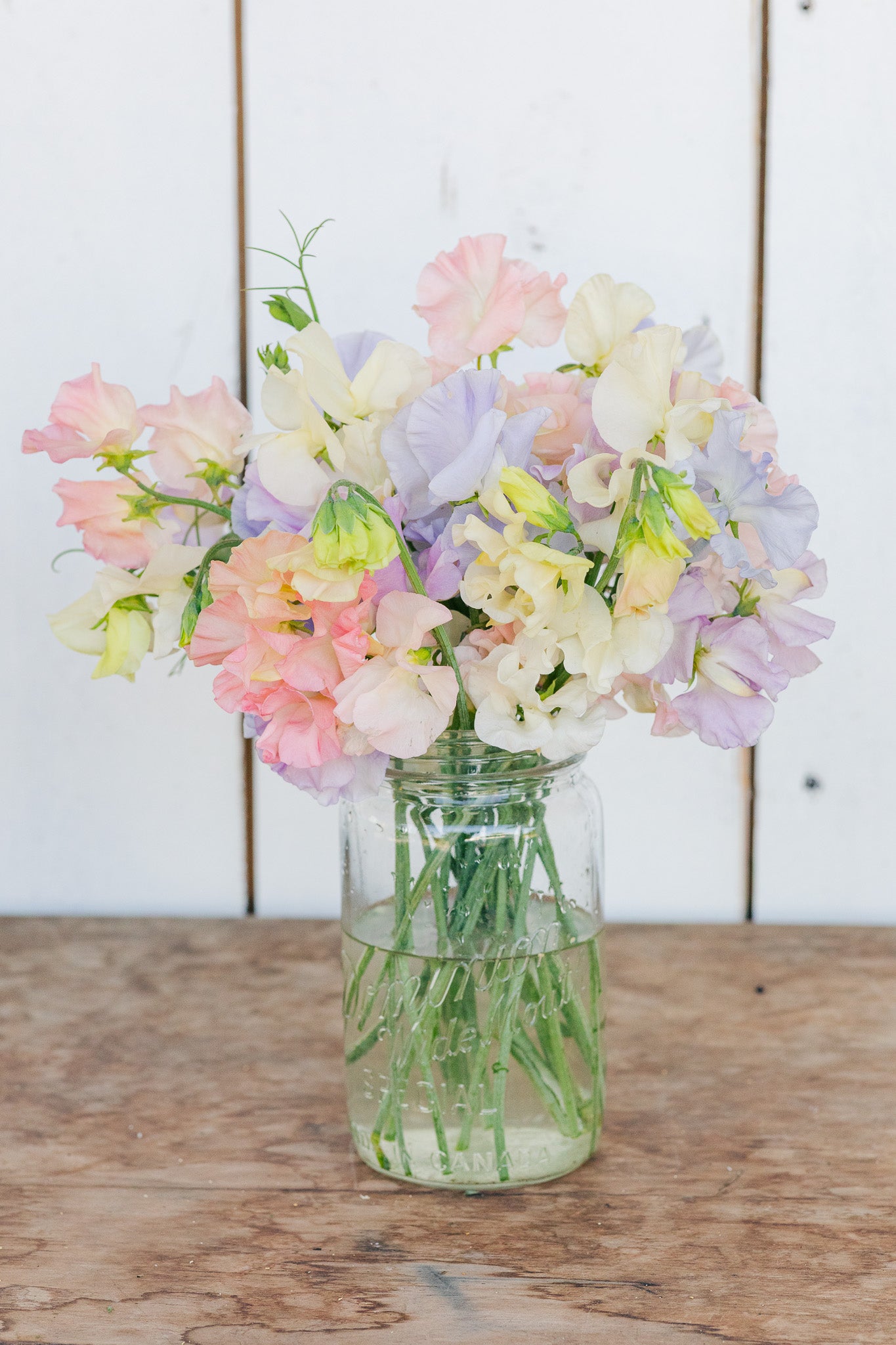 Sweet Pea Classic Mix